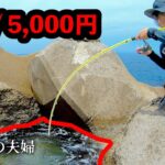 【この穴、超高級魚が餌代0円で釣れる？！】 この餌使って穴釣りしたら、魚がとても高活性すぎる・・・そして、ヤバイ、まさかの奇跡が！！