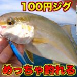 ダイソーの100円ジグがハンパない