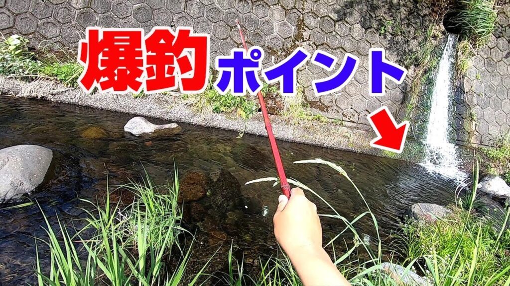【田舎の川】100均竿で釣り対決やってみた