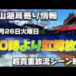 【バス釣り】ビッグベイトシーズン到来！？超貴重！亀山湖ニジマス放流の様子ニジマスパターン始まりました【11月26日午前10時放流開始】