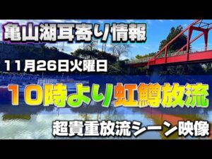 【バス釣り】ビッグベイトシーズン到来！？超貴重！亀山湖ニジマス放流の様子ニジマスパターン始まりました【11月26日午前10時放流開始】