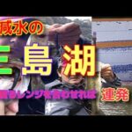 【フィッシング】11月上旬大減水中の三島湖！釣り方、レンジが合えば連発！！【fishing】