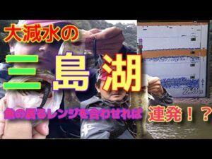 【フィッシング】11月上旬大減水中の三島湖！釣り方、レンジが合えば連発！！【fishing】