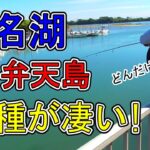 浜名湖 釣り【#129】弁天島周辺は色々な魚が釣れ過ぎます♪