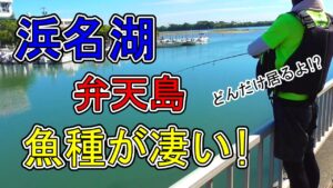 浜名湖 釣り【#129】弁天島周辺は色々な魚が釣れ過ぎます♪