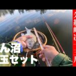 【ヘラブナ釣り】びん沼セットリベンジ-朱紋峰凌13尺-