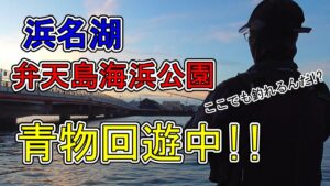 浜名湖 釣り【#130】弁天島海浜公園でも青物が釣れるらしい。