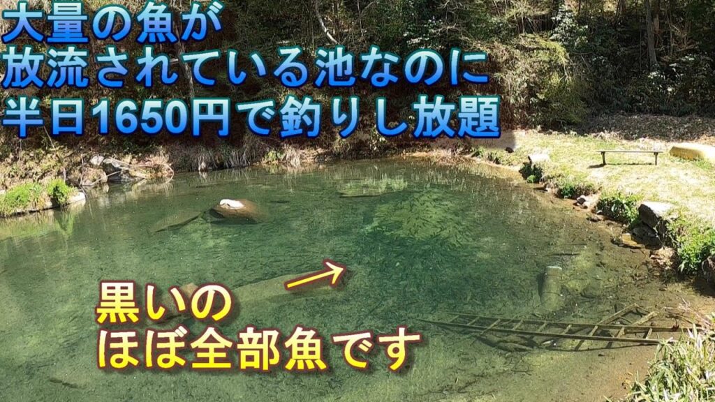 半日1650円で釣りし放題の管理釣り場にまた行ってきた動画