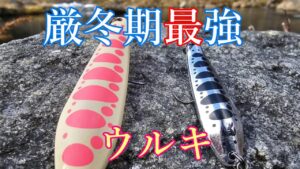 1月に好評だったルアー『KARTTELAS Uruki50＆70』【管理釣り場】【エリアトラウト】