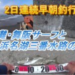 2日連続早朝釣行 釣りのシーズン最盛期迎えた 遠州サーフと浜名湖青物狙い