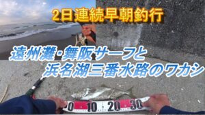 2日連続早朝釣行 釣りのシーズン最盛期迎えた 遠州サーフと浜名湖青物狙い