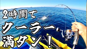 釣れ過ぎたので2時間で終了!こんな日もあるボート釣り!
