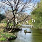 【小物釣り】埼玉県 荒川水系 旧びん沼で小物釣り 2021年