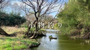 【小物釣り】埼玉県 荒川水系 旧びん沼で小物釣り 2021年