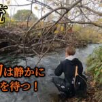 【渓流釣り】戦慄！凛とした空気を切り裂く怪物！2024年晩秋。