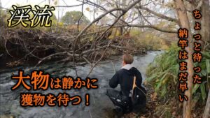 【渓流釣り】戦慄!凛とした空気を切り裂く怪物!2024年晩秋。