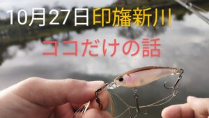 印旛沼水系　印旛新川バス釣り　2024.10.27