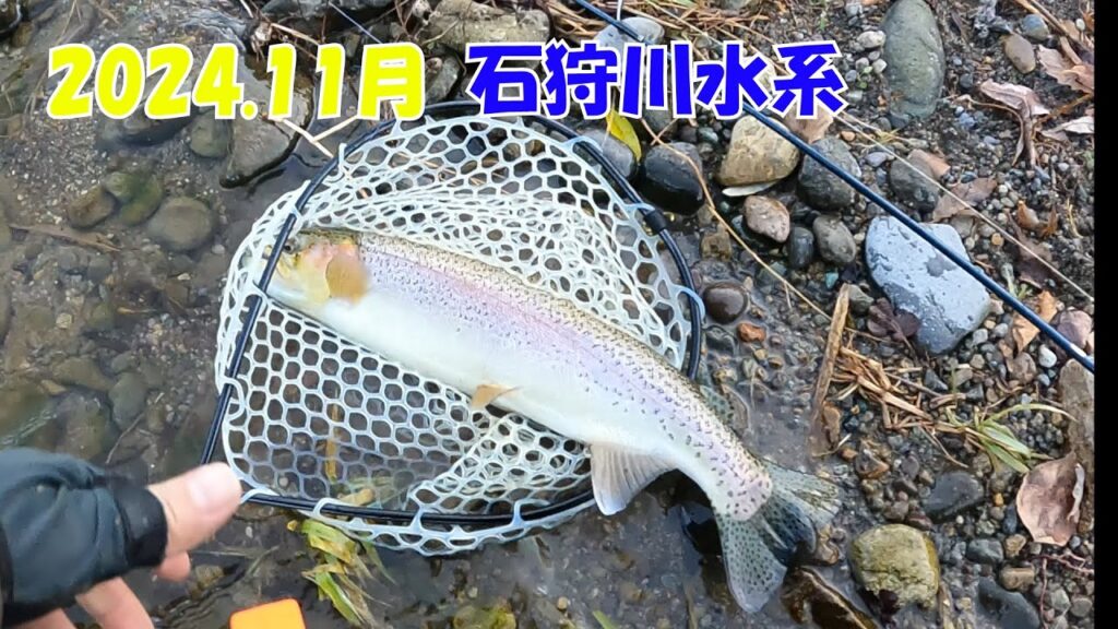 【ルアー釣り】2024.11月 石狩川水系　最後の最後で釣れてくれました…