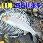 【ルアー釣り】2024.11月 石狩川水系　最後の最後で釣れてくれました…