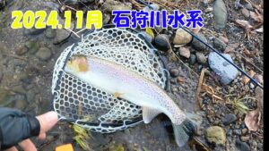 【ルアー釣り】2024.11月 石狩川水系　最後の最後で釣れてくれました…