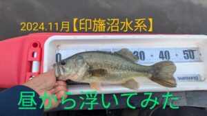 2024.11月【印旛沼水系バス釣り】チャターの練習。大物ヒットするも😭
