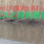 2024.11月【印旛沼水系　バス釣り】巻き？撃ち？全身全霊で挑む🫡