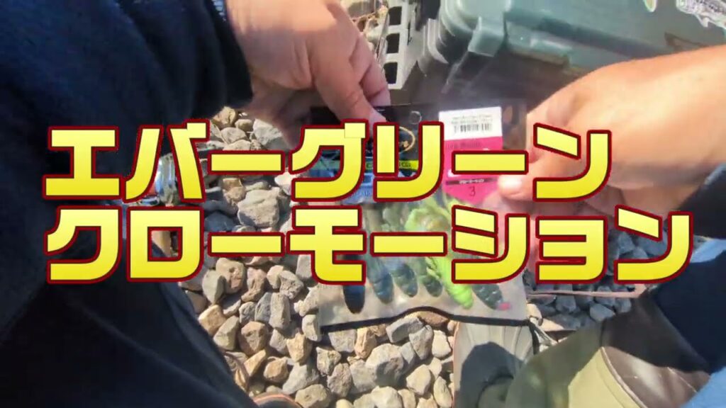 2024.11月【印旛沼水系　バス釣り】