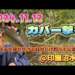 2024.11.12 @カバー撃ち
