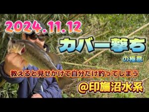 2024.11.12 @カバー撃ち