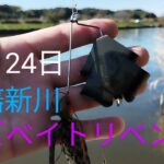 印旛沼水系　印旛新川バス釣り？　バズベイトリベンジ2024.11.24