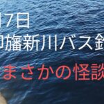 印旛沼水系　印旛新川バス釣り　まさかの怪談？2024.11.7
