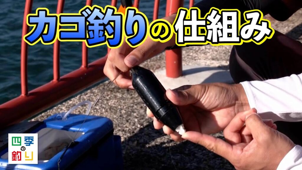 海釣り公園で大物狙い！マダイと青物を釣りましょう！（四季の釣り/2024年10月4日放送）