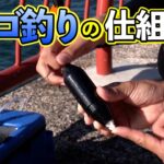 海釣り公園で大物狙い！マダイと青物を釣りましょう！（四季の釣り/2024年10月4日放送）