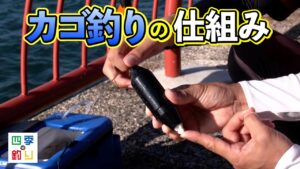 海釣り公園で大物狙い！マダイと青物を釣りましょう！（四季の釣り/2024年10月4日放送）
