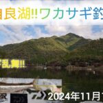 伊自良湖‼️ワカサギ釣り‼️デカサギ乱舞‼️2024年11月12日