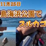 【浜名湖釣り】2024年11月25日 弁天島海浜公園でスルカゴ釣り【スルカゴ釣り】