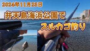 【浜名湖釣り】2024年11月25日 弁天島海浜公園でスルカゴ釣り【スルカゴ釣り】