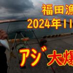 鯵大爆釣　遠州灘　磐田市福田漁港2024年11月8日（金）朝6時~7時　大爆釣です。　昨日も良かったらしいです。　アジ回遊中