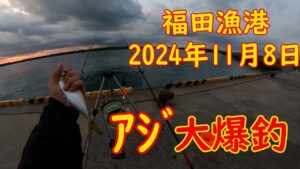 鯵大爆釣　遠州灘　磐田市福田漁港2024年11月8日（金）朝6時~7時　大爆釣です。　昨日も良かったらしいです。　アジ回遊中