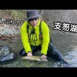 2024年11月9日　支笏湖の本当のネイティブ！