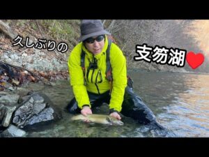 2024年11月9日 支笏湖の本当のネイティブ!