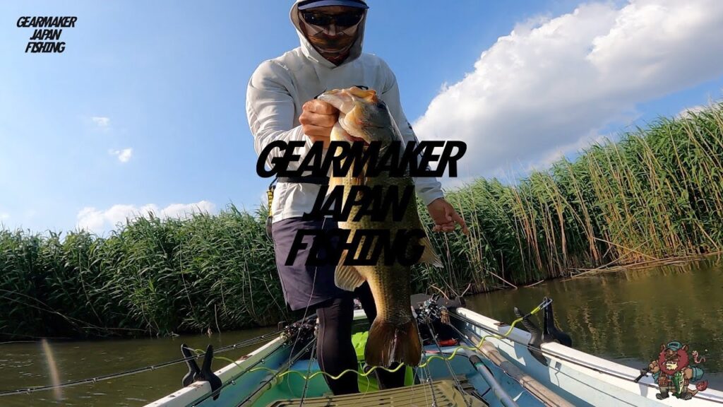 【多々良沼】 バス釣り 2024年6月梅雨時期  ジグネズミ小亀パターン