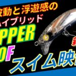 （2024新製品）ゼッパー80Fのスイムチェックしてみた, BLUEBLUE ZEPPER80F
