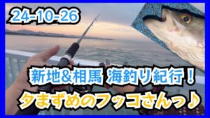 24-10-26  新地&相馬 海釣り紀行！夕まずめのフッコさんっ♪