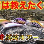 [渓流釣り]本当は教えたくない爆釣ルアー 3選 [ルアーフィッシング]