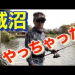 ここで釣ってください！ 城沼。 3週しました! バス釣り おかっぱり