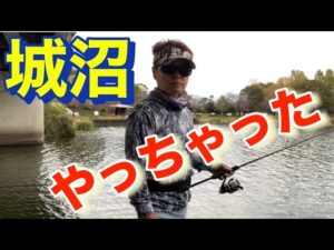 ここで釣ってください! 城沼。 3週しました! バス釣り おかっぱり