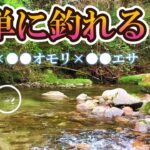 渓流釣り  この3つを組み合わせると簡単に釣れます【餌釣り】