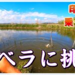 『この沼の巨ベラを釣り上げたい』本当にあった執念の30日間の物語