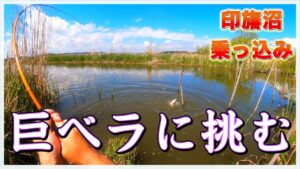 『この沼の巨ベラを釣り上げたい』本当にあった執念の30日間の物語